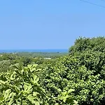 Apartman Vista Mare *