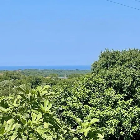 شقة Vista Mare *