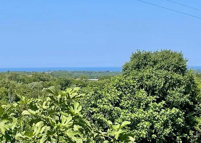Apartman Vista Mare *